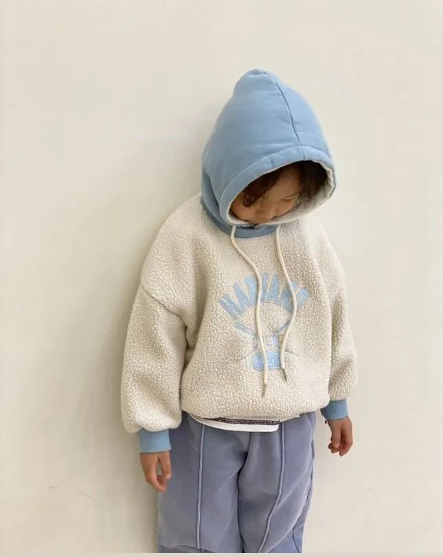 Harvard Fleece Hoody