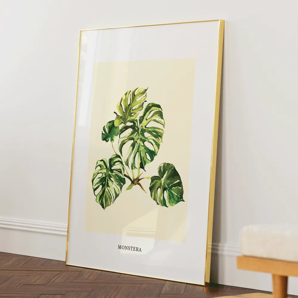 Monstera