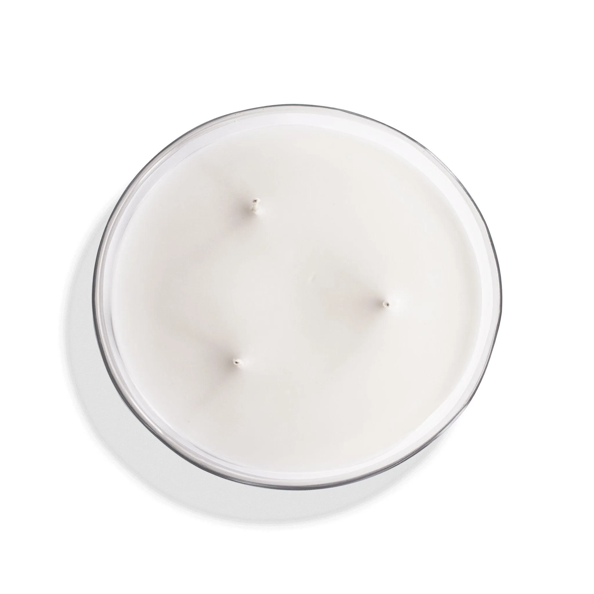 Mousse et Patchouli | Grande Bougie parfumée